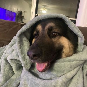 Meet your Posher, Jamirex